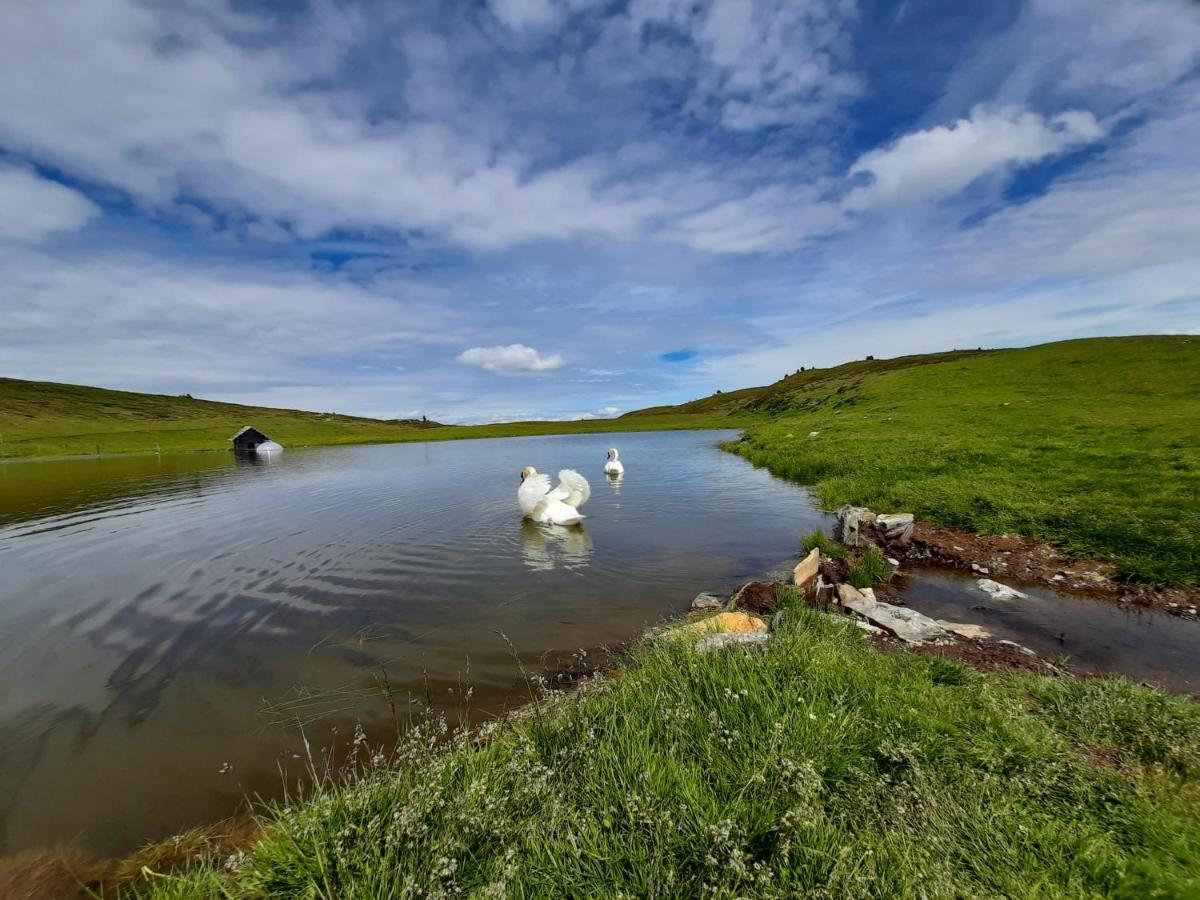 Canalhof Daire Antermoia Dış mekan fotoğraf