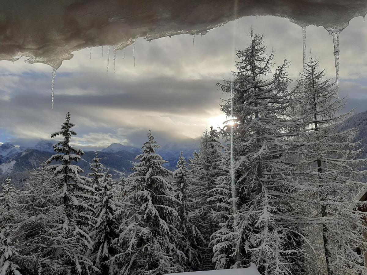 Canalhof Antermoia Dış mekan fotoğraf
